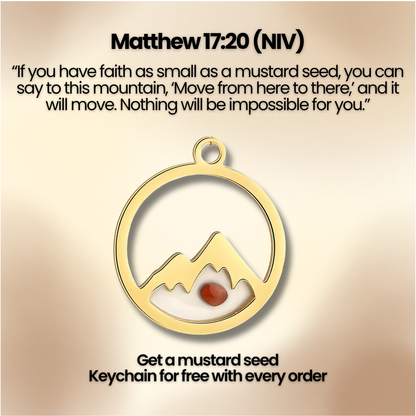 Practical Bible Study Guide
